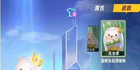 QQ飞车手游新宠物小竹鼠售价一览 小竹鼠获取途径全介绍[多图]图片2