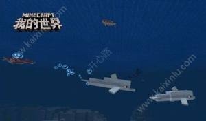 我的世界海洋版本海豚如何喂养？海洋版本海豚如何快速驯服图片1