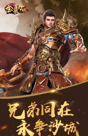 金装沙城官方版图片2