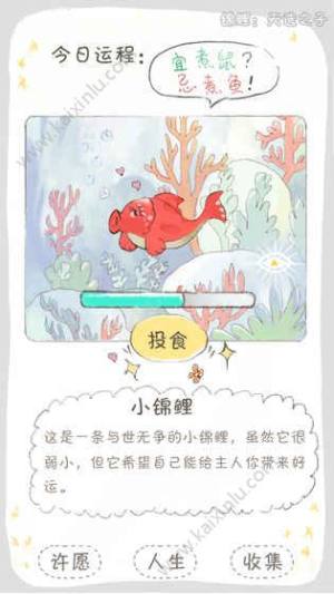 锦鲤天选之子游戏安卓官方版图片1