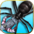捕杀蜘蛛模拟游戏官方版 v1.013