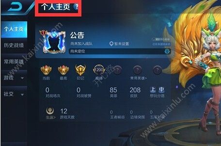 王者荣耀个人主页怎么换英雄皮肤？2018个人主页更换英雄皮肤教程分享[多图]图片1