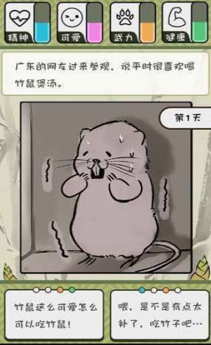 竹鼠活下去2手机游戏官方版图片2