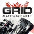 Autosport中文游戏免费版 v1.0