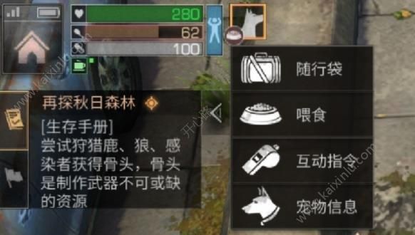 明日之后喂养狗的方法介绍 喂狗详细操作攻略分享[多图]图片2