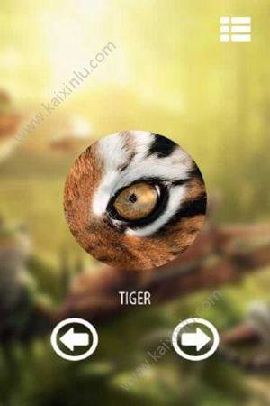 Vision animal sim安卓版apk中文版图片1