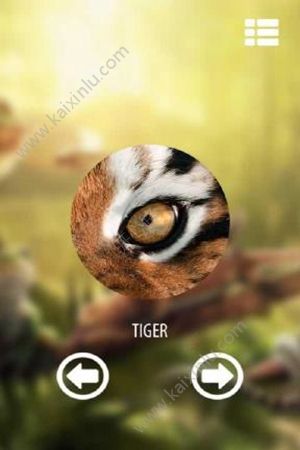 Vision animal sim游戏安卓版图片1