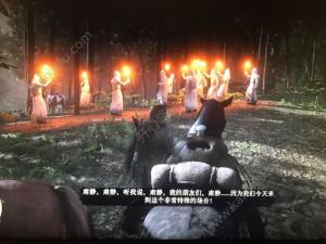 荒野大镖客2彩蛋有哪些 荒野大镖客2全部关卡彩蛋汇总攻略分享图片6