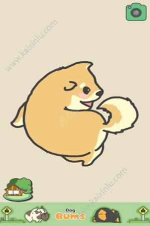 摸摸狗屁股中文汉化安卓版（Dog Bum）图片2