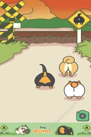 摸摸狗屁股中文汉化安卓版（Dog Bum）图片3