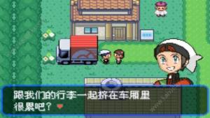 口袋妖怪单机2020安卓版精灵奖牌正版图片3