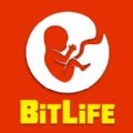 比特生活官方下载中文最新版（BitLife Life Simulator） v1.0