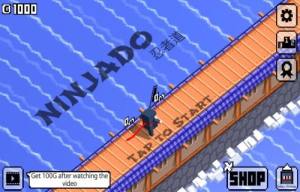 Zag忍者游戏最新官方版（ZigZag Ninjado）图片1