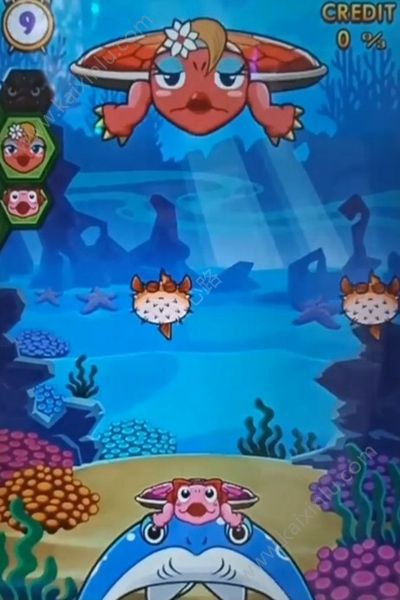 乌龟家族手机游戏官方下载安卓版图片3