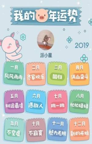 微信小程序2019我的猪年运势测试官方版图片1