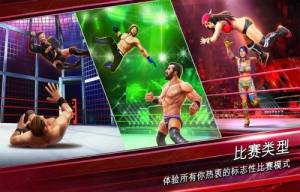 WWE大混斗游戏最新官方版（WWE Mayhem）图片2