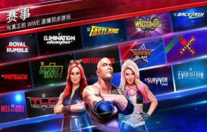 WWE大混斗游戏最新官方版（WWE Mayhem）图片1