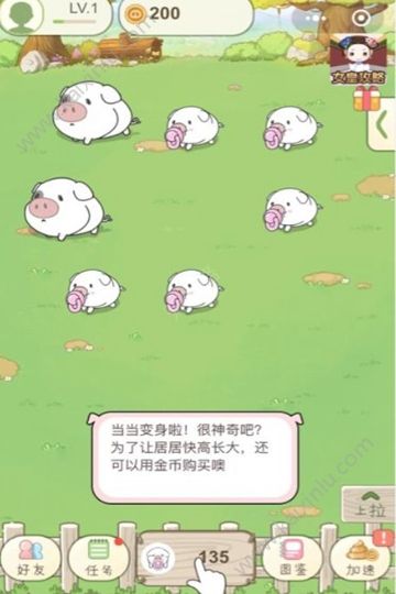 微信猪的72变小游戏官方安卓版图片4