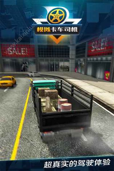模拟卡车司机安卓版金币官方版图片2