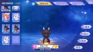 QQ炫舞手游宠物进阶失败问题处理办法+完美应对攻略图片1