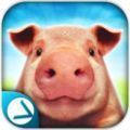 猪的一生中文修改汉化版手机游戏下载 v1.01