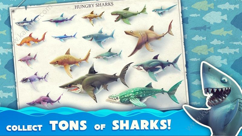 饥饿鲨世界3.0.2安卓版生命回血存档官方版（Hungry Shark）图片1