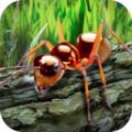 蚂蚁生存模拟器中文金币安卓版 v1.01