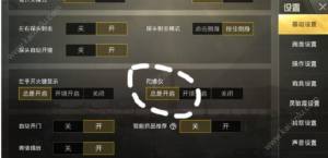 刺激战场陀螺仪职业玩法怎么设定？三指操作技巧助你吃鸡图片2