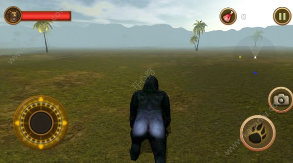 黑猩猩模拟器生命中文官方安卓版（Wild Gorilla）图片1
