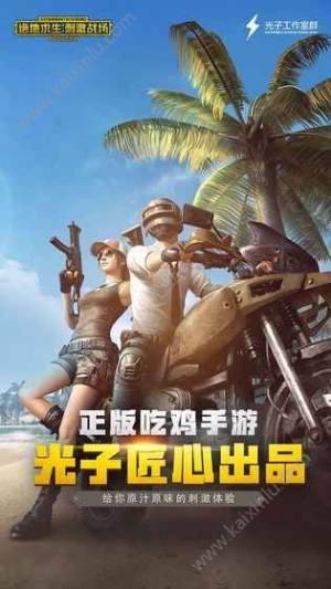 绝地求生刺激战场精简版官方下载最新版本图片3