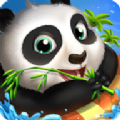 熊猫冲浪游戏官方网站下载安卓版  v1.0