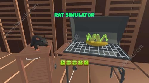 大鼠模拟器游戏官方网站下载安卓版图片2