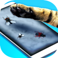 苍蝇逗猫中文游戏官方网站下载最新版(Flies For Cat) v1.0