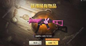 刺激战场火箭少女101枪械皮肤多少钱？火箭少女101武器皮肤值得入手吗？图片2