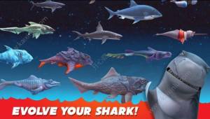 饥饿鲨进化2019最新安卓版淘金热鲨鱼全版图片2
