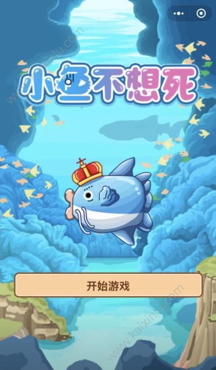 微信小鱼不想死小程序app游戏下载安卓版图片1