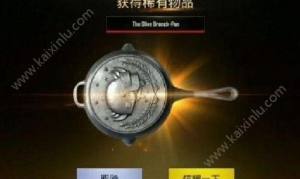 绝地求生刺激战场10款稀有终极皮肤汇总：橄榄平底锅史上最难收集的天价皮肤图片10