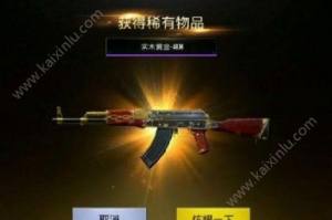 绝地求生刺激战场10款稀有终极皮肤汇总：橄榄平底锅史上最难收集的天价皮肤图片5