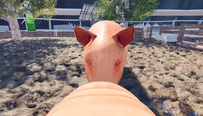 屌德斯解说模拟猪的一生手机游戏下载最新版图片1