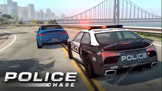 警察追逐汽车3D安卓版金币官方版（Police Chase Car 3D）图片1
