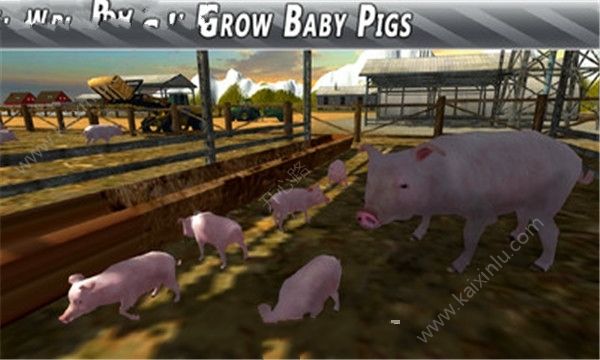 农场猪猪模拟手机游戏中文版图片2