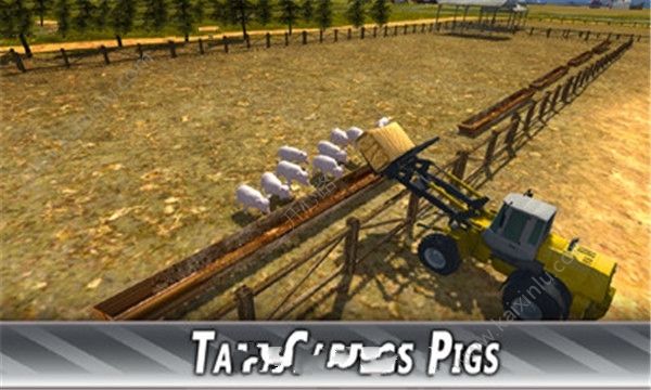 农场猪猪模拟手机游戏中文版图片3