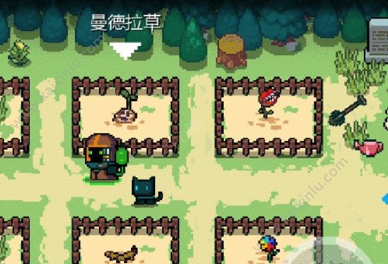 元气骑士1.9.0版本更新内容公告 蓝藻花/冬虫夏草/七色堇全新来袭[多图]图片3