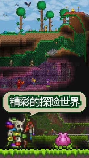 泰拉瑞亚RPG版汉化mod完整安卓版图片3