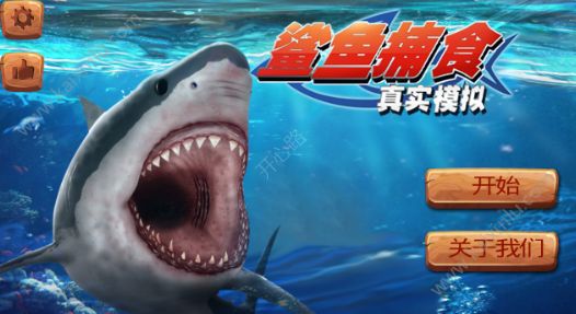 真实模拟鲨鱼捕食游戏官网版最新版图片3