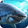 真实模拟鲨鱼捕食破解版中文无限金币版 1.0.0.0123