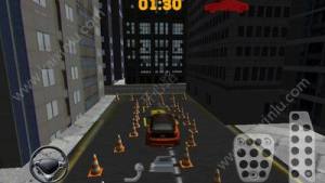 停车3D模拟器中文安卓版图片3