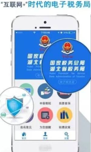 湖北税务网上税务局社保医保缴纳官网版图片1