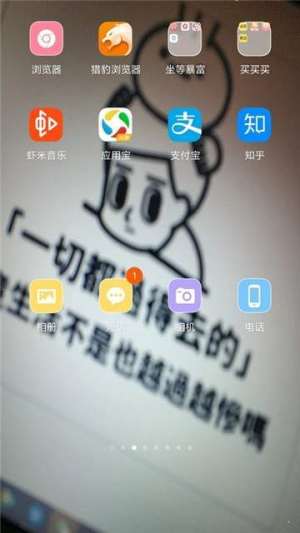 秀玩桌面app安卓正版图片2