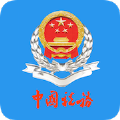 云南省网上税务局app官网注册登录入口 v3.1